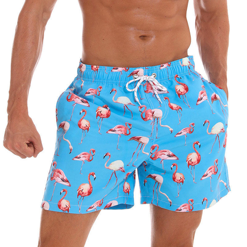 Men’s Quick-Dry Printed Swim Shorts Holiday Beach Trunks