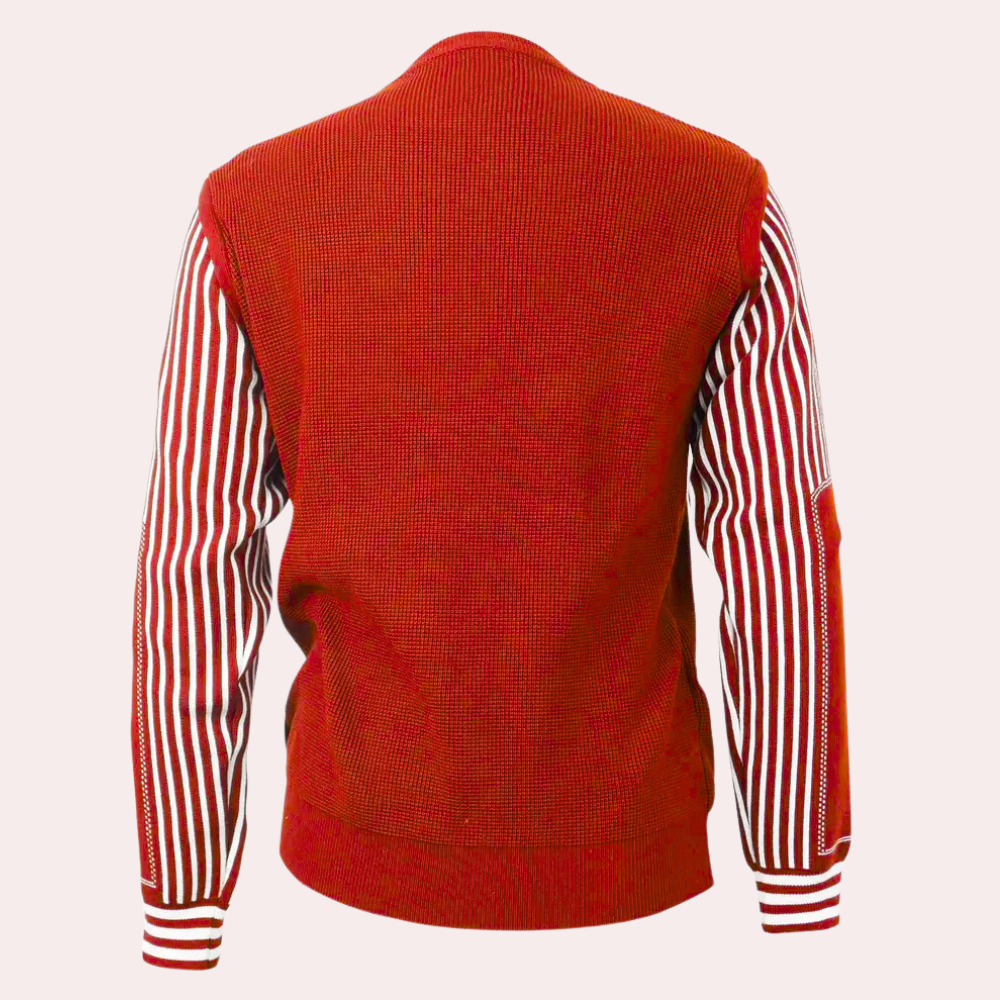 Men's Relaxed Jumper with Striped Sleeves and Crew Neck - photo 5