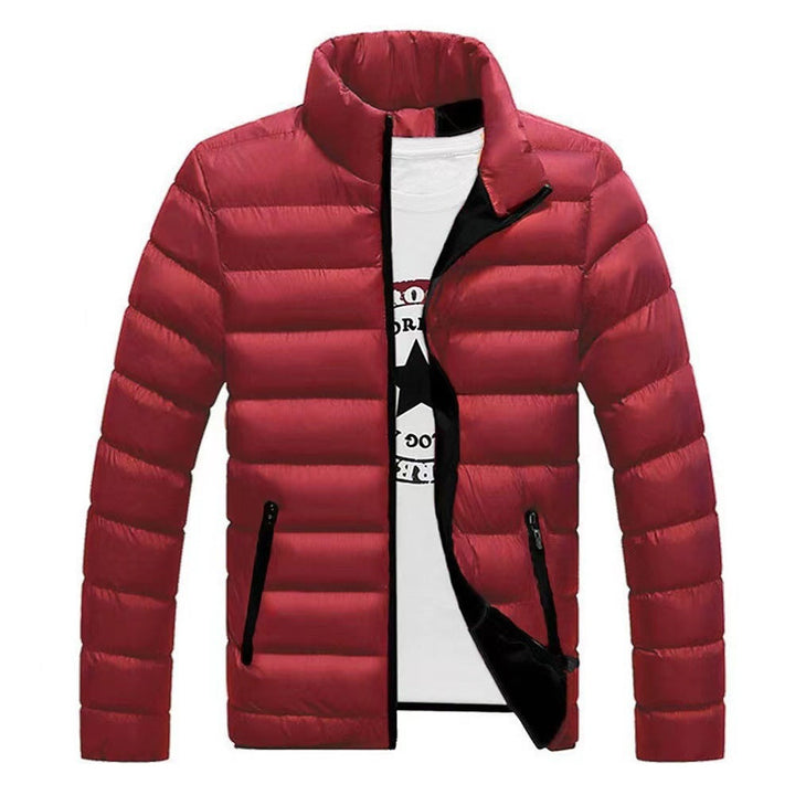 Reinhold - Men's Lined Puffer Jacket with a High Collar – view 7